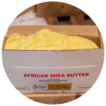 Unrefined Sheabutter For Bulk Purchase